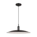 Myhouse Lighting Visual Comfort Studio - TP1251AI - LED Pendant - Dash - Aged Iron