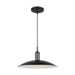 Myhouse Lighting Visual Comfort Studio - TP1261AI - LED Pendant - Dash - Aged Iron