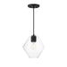 Myhouse Lighting Maxim - 21336CLBK - One Light Pendant - Geode - Black