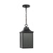 Myhouse Lighting Generation Lighting - GLO1041EN3/TXB - One Light Pendant - Saybrook - Textured Black