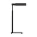 Myhouse Lighting Visual Comfort Studio - LT1181AI1 - One Light Floor Lamp - Leonard - Aged Iron