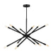 Myhouse Lighting Visual Comfort Studio - CC16612MBK - 12 Light Chandelier - Eastyn - Midnight Black