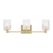 Myhouse Lighting Generation Lighting - GLV1043EN/SB - Three Light Wall / Bath - Lando - Satin Bronze