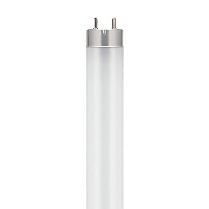 Myhouse Lighting Westinghouse Lighting - 5232100 - Light Bulb - Frost