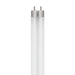 Myhouse Lighting Westinghouse Lighting - 5232100 - Light Bulb - Frost