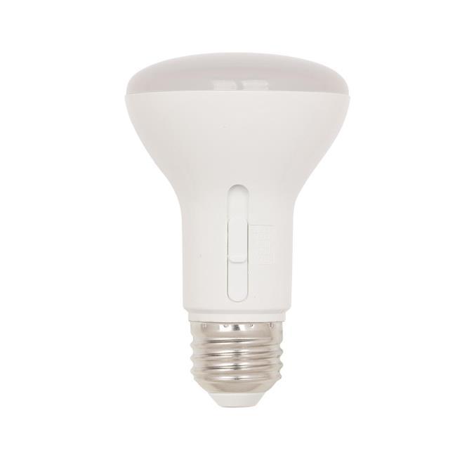 Myhouse Lighting Westinghouse Lighting - 5347000 - Light Bulb - Frost