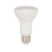 Myhouse Lighting Westinghouse Lighting - 5347000 - Light Bulb - Frost