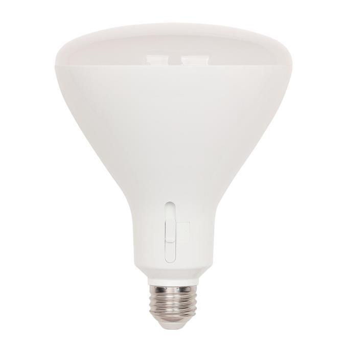 Myhouse Lighting Westinghouse Lighting - 5348000 - Light Bulb - Frost