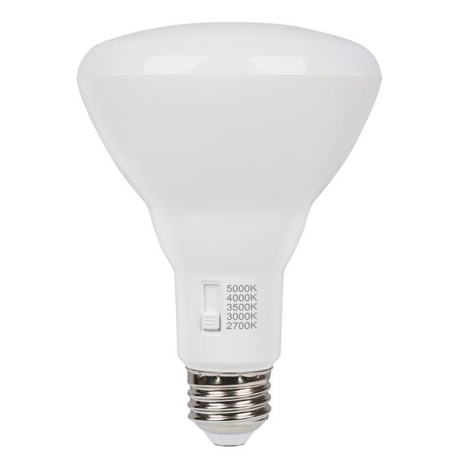 Myhouse Lighting Westinghouse Lighting - 5349000 - Light Bulb - Frost
