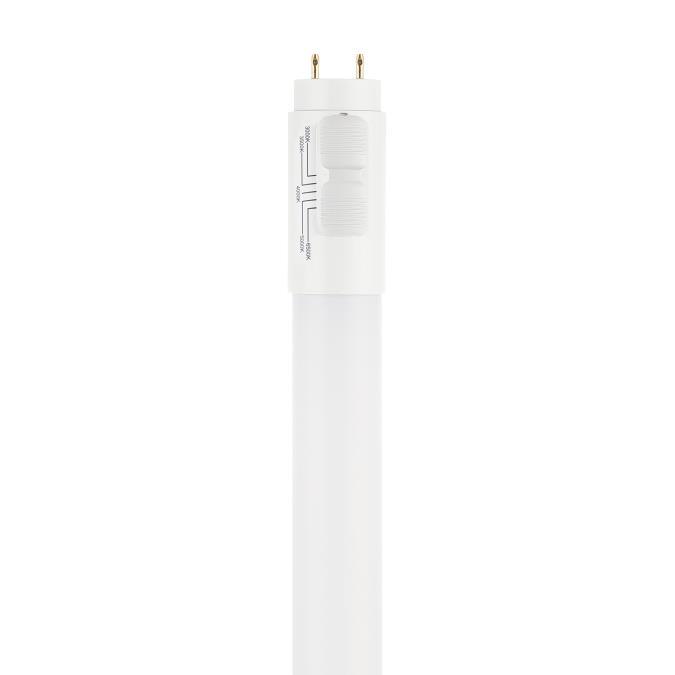 Myhouse Lighting Westinghouse Lighting - 5354000 - Light Bulb - Frost