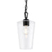 Myhouse Lighting Progress Lighting - P500506-031 - One Light Pendant - Celino - Black