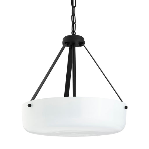 Myhouse Lighting Progress Lighting - P500507-031 - Two Light Convertible Pendant - Lieon - Black