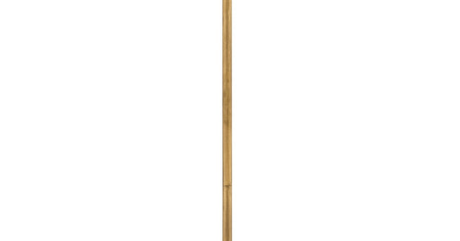 Myhouse Lighting Hinkley - 6060BNG - Accessory Stem - Stem - Burnished Gold