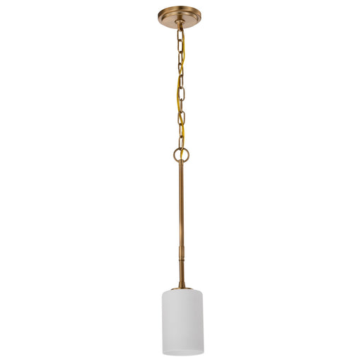 Myhouse Lighting Nuvo Lighting - 60-8205 - One Light Mini Pendant - Liam - Burnished Brass