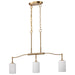 Myhouse Lighting Nuvo Lighting - 60-8208 - Three Light Pendant - Liam - Burnished Brass