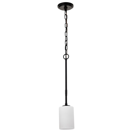 Myhouse Lighting Nuvo Lighting - 60-8215 - One Light Mini Pendant - Liam - Matte Black