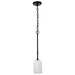 Myhouse Lighting Nuvo Lighting - 60-8215 - One Light Mini Pendant - Liam - Matte Black