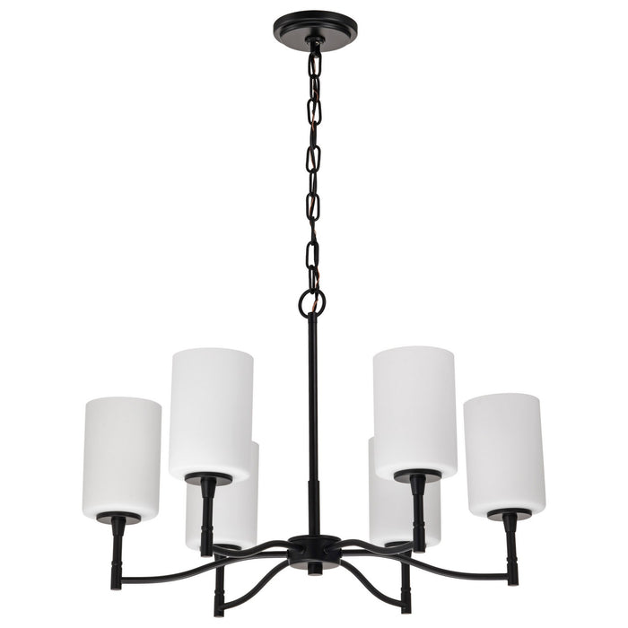 Myhouse Lighting Nuvo Lighting - 60-8216 - Six Light Chandelier - Liam - Matte Black