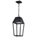 Myhouse Lighting Nuvo Lighting - 62-2314 - LED Pendant - Colt - Matte Black