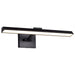 Myhouse Lighting Nuvo Lighting - 62-2325 - LED Picture Light - Hazel - Black