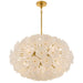 Myhouse Lighting Quoizel - AUD2828BRG - Eight Light Pendant - Audrey - Brushed Gold