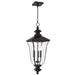 Myhouse Lighting Quoizel - FARL1910MBK - Three Light Outdoor Hanging Lantern - Farley - Matte Black