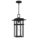 Myhouse Lighting Quoizel - MORG1910EK - One Light Outdoor Hanging Lantern - Morgan - Earth Black