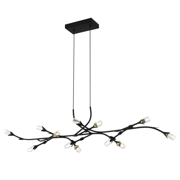 Myhouse Lighting Quoizel - PCCOR1250MBK - LED Island Pendant - Cora - Matte Black