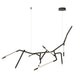 Myhouse Lighting ET2 - E25414-BK - LED Pendant - Scion - Black