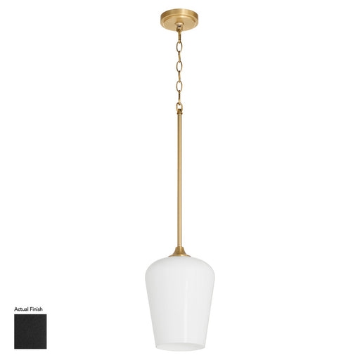 Myhouse Lighting Quorum - 3313-259 - One Light Pendant - Raymond - Matte Black
