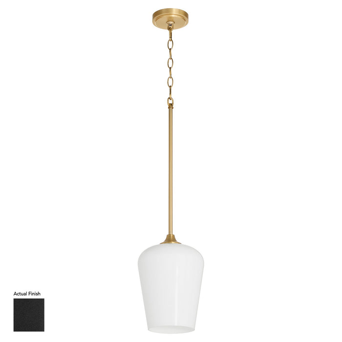 Myhouse Lighting Quorum - 3313-259 - One Light Pendant - Raymond - Matte Black