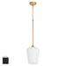 Myhouse Lighting Quorum - 3313-259 - One Light Pendant - Raymond - Matte Black