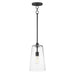 Myhouse Lighting Maxim - 12886CLBK - One Light Pendant - Hudson - Black