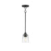 Myhouse Lighting Maxim - 92880CLBK - One Light Pendant - Hudson - Black