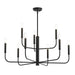 Myhouse Lighting Progress Lighting - P400449-31M - Nine Light Chandelier - Reines - Matte Black