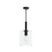 Myhouse Lighting Progress Lighting - P500509-31M - One Light Pendant - Reines - Matte Black