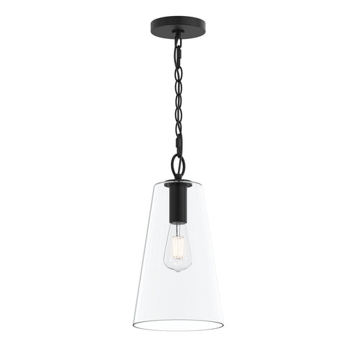 Myhouse Lighting Progress Lighting - P500511-31M - One Light Pendant - Jheni - Matte Black