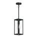 Myhouse Lighting Progress Lighting - P550146-31M - One Light Outdoor Pendant - Ryle - Matte Black