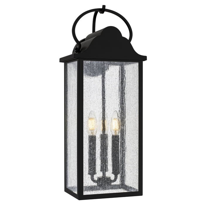 Myhouse Lighting Quoizel - DAM8408MBK - LED Outdoor Wall Lantern - Damian - Matte Black