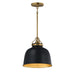 Myhouse Lighting Maxim - 21424BKNAB - One Light Pendant - Hollis - Natural Aged Brass