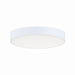 Myhouse Lighting Maxim - 57440WTWT - LED Surface Mount - Trim-Commercial - White