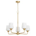 Myhouse Lighting Quorum - 6313-5-280 - Five Light Chandelier - Raymond - Aged Brass