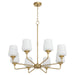 Myhouse Lighting Quorum - 6313-8-280 - Eight Light Chandelier - Raymond - Aged Brass