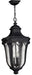 Myhouse Lighting Hinkley - 1312MB - LED Hanging Lantern - Trafalgar - Museum Black