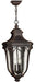 Myhouse Lighting Hinkley - 1312MO - LED Hanging Lantern - Trafalgar - Mocha