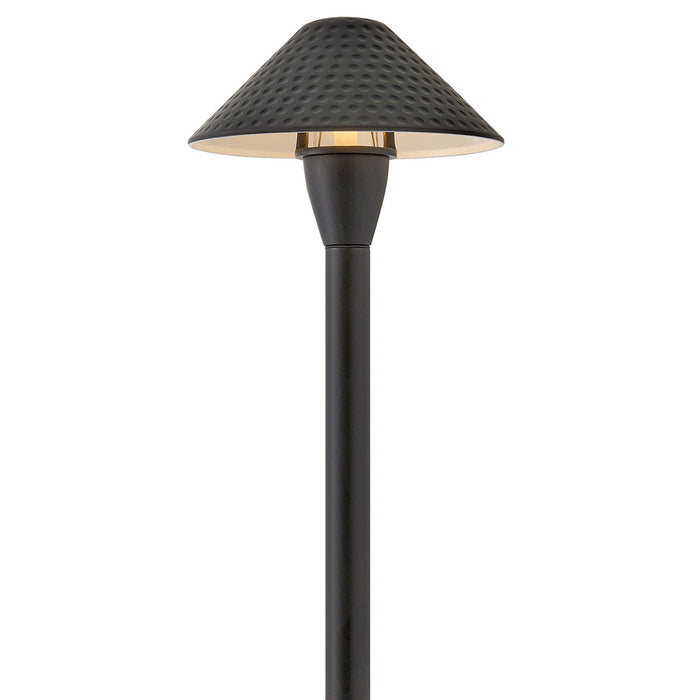 Myhouse Lighting Hinkley - 16010BSK-LL - LED Path Light - Hardy Island - Brass Satin Black