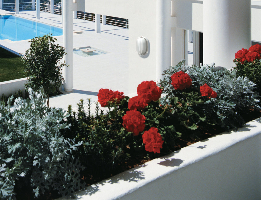Myhouse Lighting Nuvo Lighting - 60-524 - One Light Outdoor Bulk Head - Die Cast Bulk Heads Semi Gloss White - Semi Gloss White