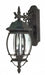 Myhouse Lighting Nuvo Lighting - 60-893 - Three Light Outdoor Wall Lantern - Central Park - Textured Black