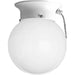 Myhouse Lighting Progress Lighting - P3605-30SW - One Light Flush Mount - Globe - Opal (Pullchain) - White