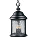 Myhouse Lighting Progress Lighting - P5550-31 - Three Light Hanging Lantern - Ashmore - Textured Black